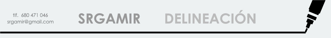 SRGAMIR DELINEACION